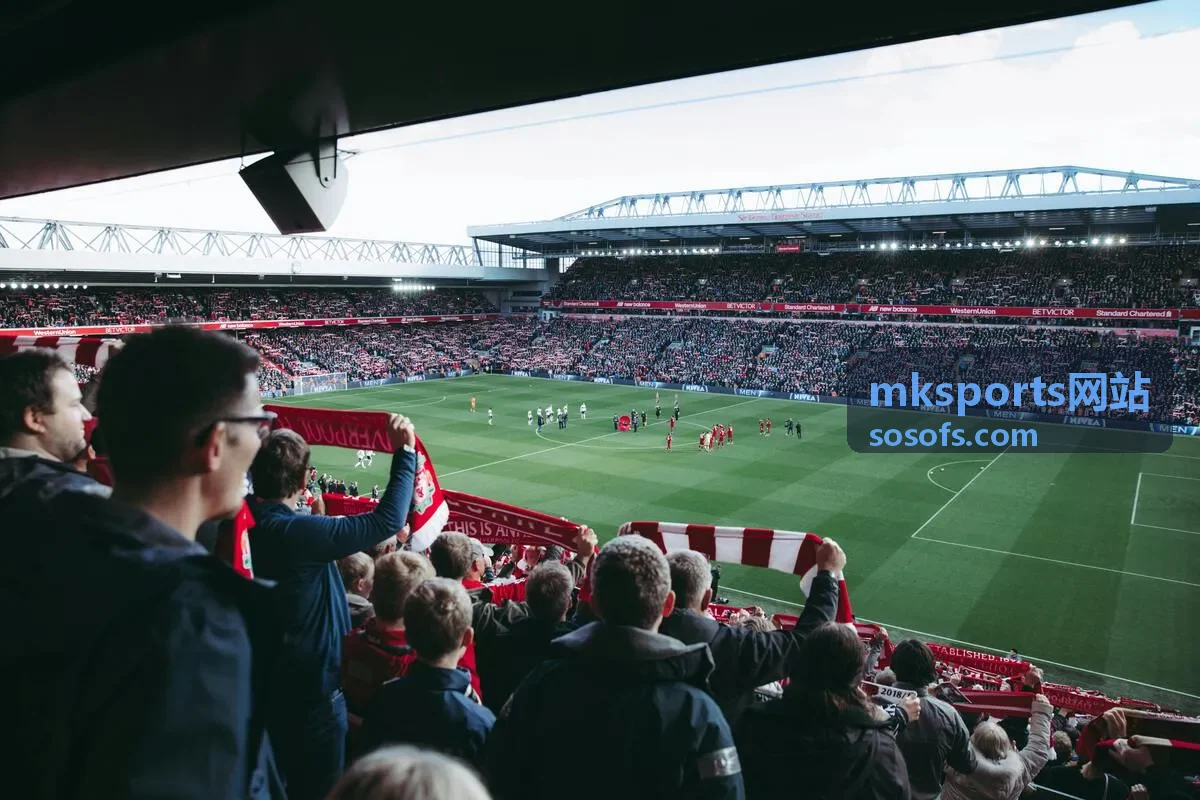 mksports网站转会与球员动态频道的信息分层示意